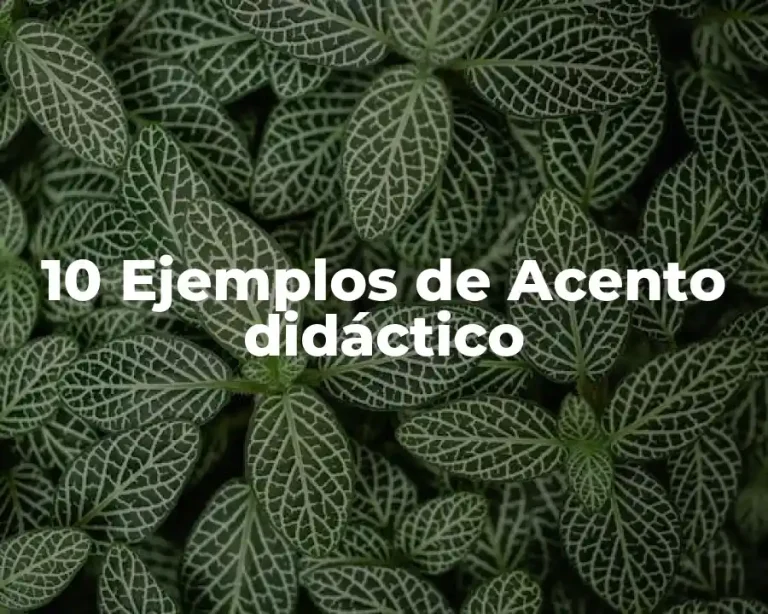 10 Ejemplos de Acento didáctico