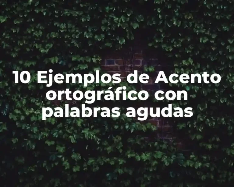 10 Ejemplos de Acento ortográfico con palabras agudas