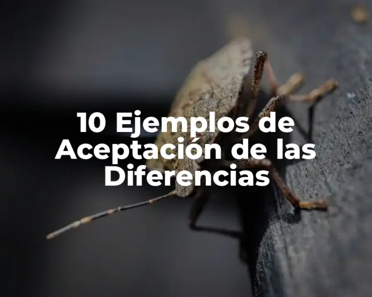 10 Ejemplos de Aceptación de las Diferencias