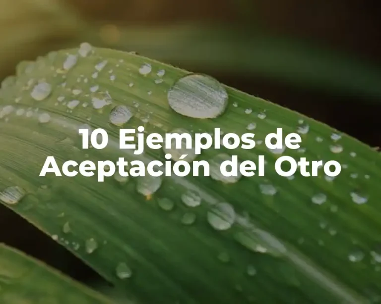 10 Ejemplos de Aceptación del Otro