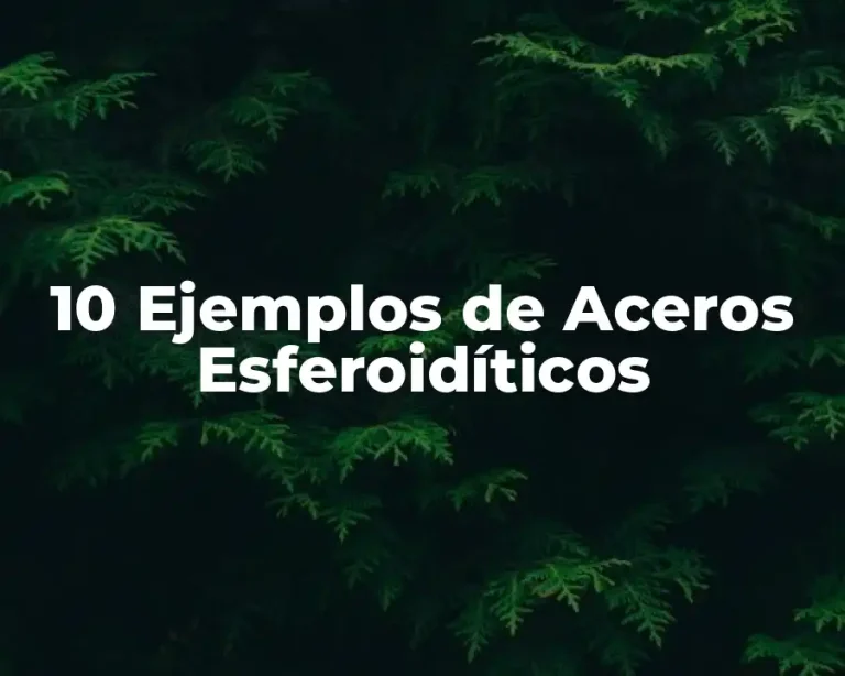 10 Ejemplos de Aceros Esferoidíticos