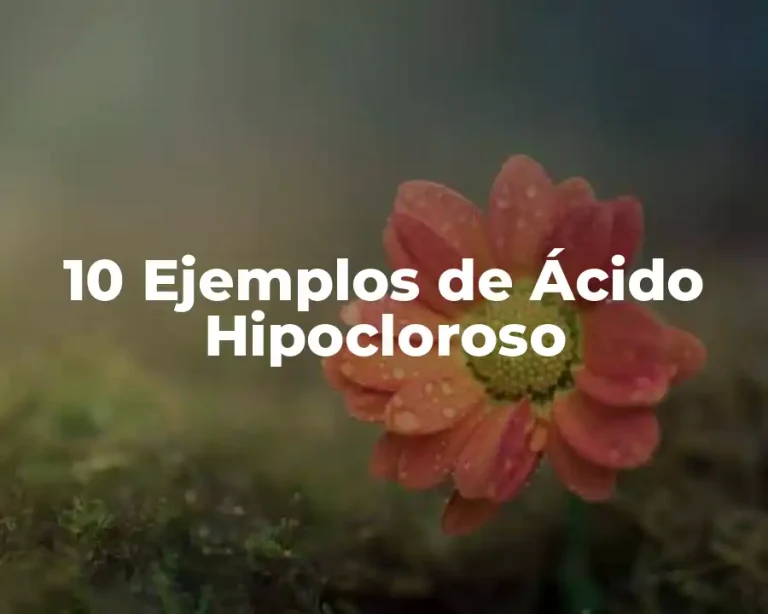 10 Ejemplos de Ácido Hipocloroso