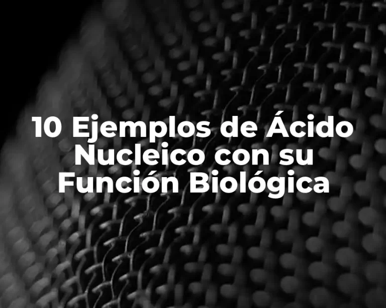 10 Ejemplos de Ácido Nucleico con su Función Biológica