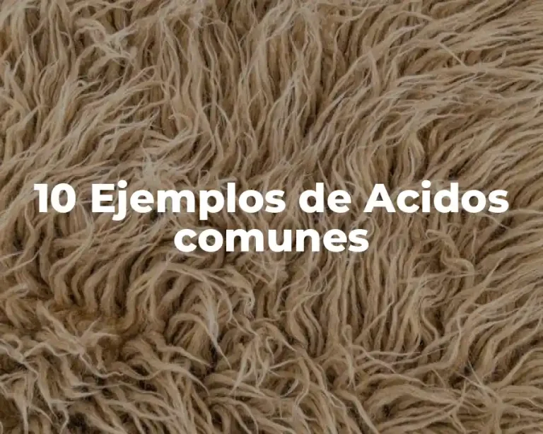 10 Ejemplos de Acidos comunes
