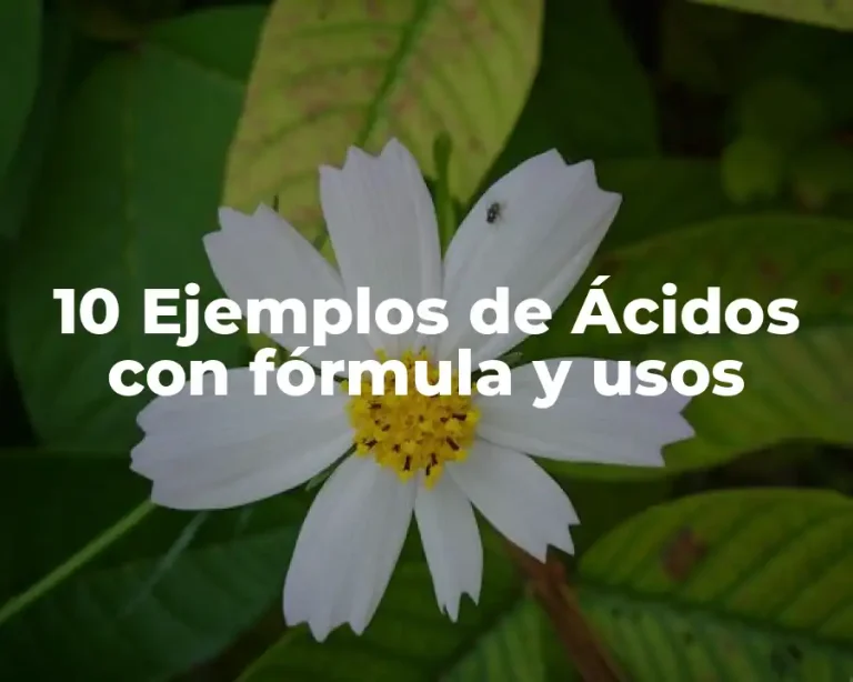 10 Ejemplos de Ácidos con fórmula y usos