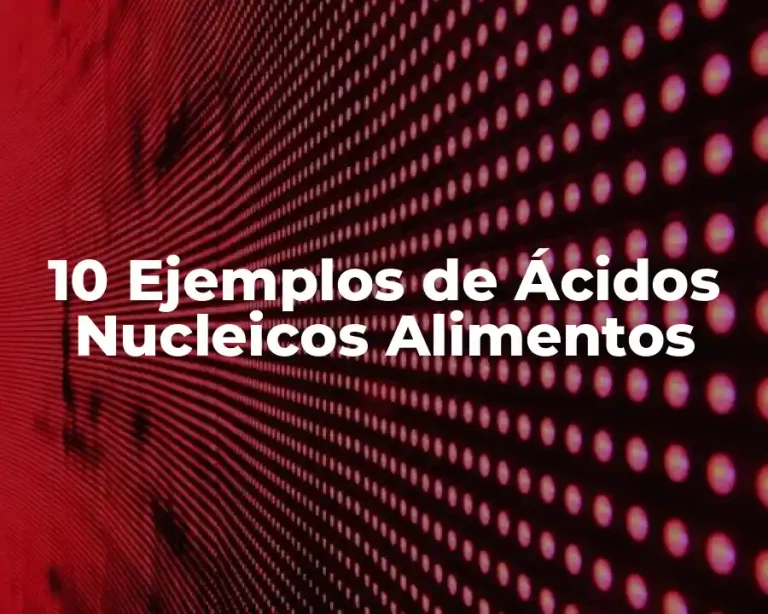 10 Ejemplos de Ácidos Nucleicos Alimentos