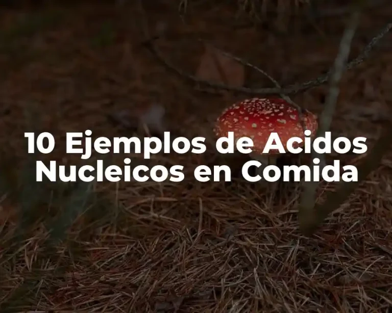10 Ejemplos de Acidos Nucleicos en Comida