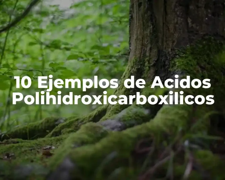 10 Ejemplos de Acidos Polihidroxicarboxilicos
