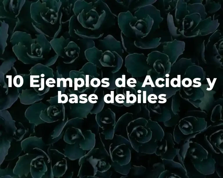 10 Ejemplos de Acidos y base debiles