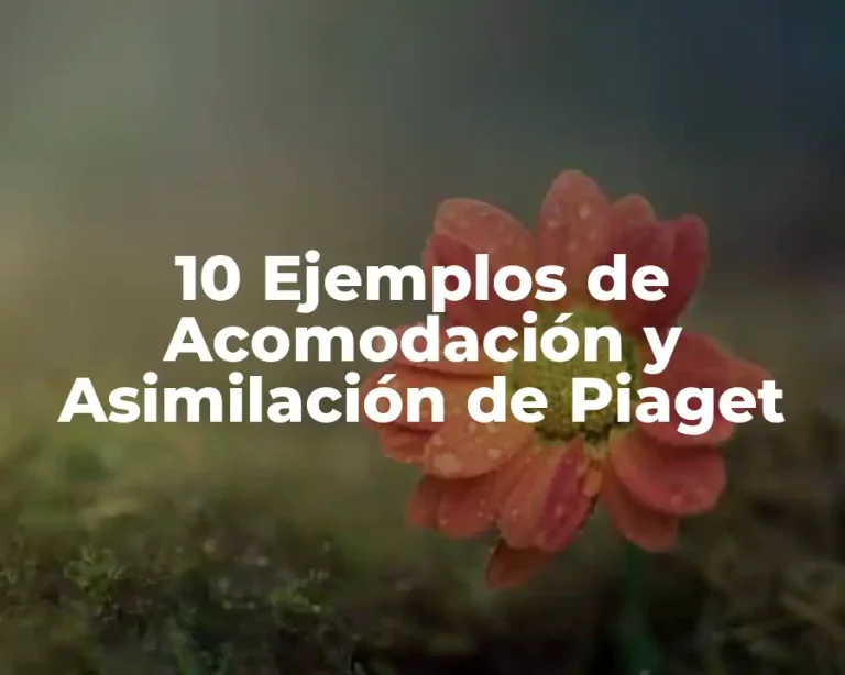 10 Ejemplos de Acomodación y Asimilación de Piaget