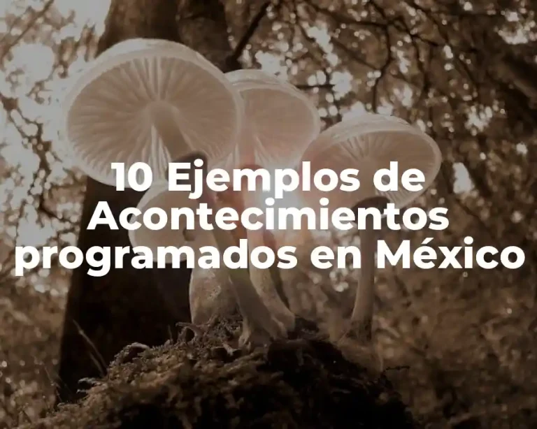 10 Ejemplos de Acontecimientos programados en México