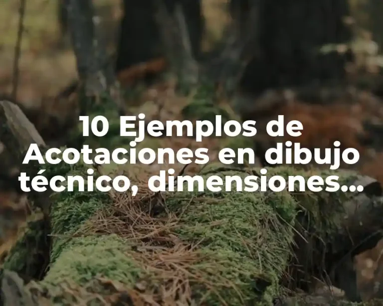 10 Ejemplos de Acotaciones en dibujo técnico, dimensiones, posición y referencia