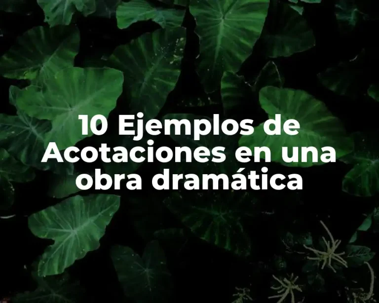 10 Ejemplos de Acotaciones en una obra dramática