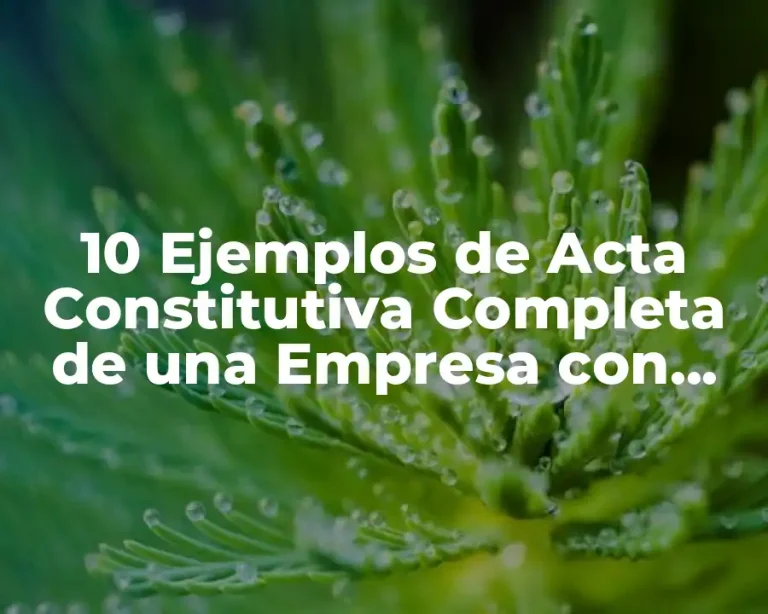 10 Ejemplos de Acta Constitutiva Completa de una Empresa con Socios