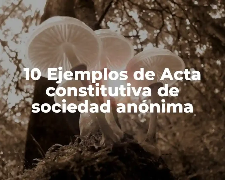 10 Ejemplos de Acta constitutiva de sociedad anónima