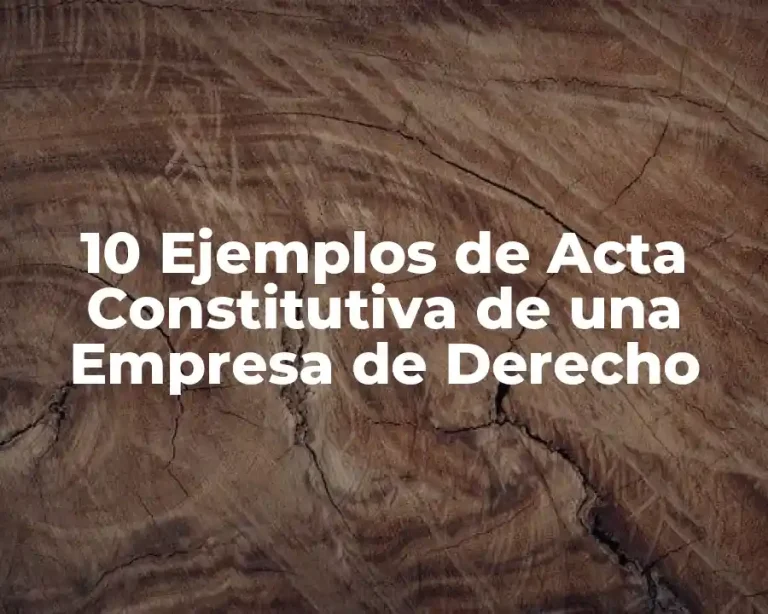 10 Ejemplos de Acta Constitutiva de una Empresa de Derecho