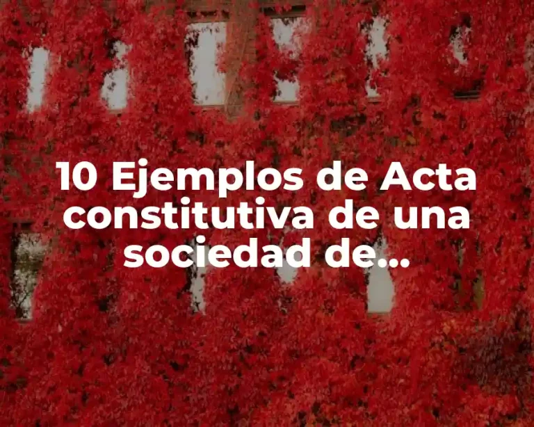 10 Ejemplos de Acta constitutiva de una sociedad de ultramarinos