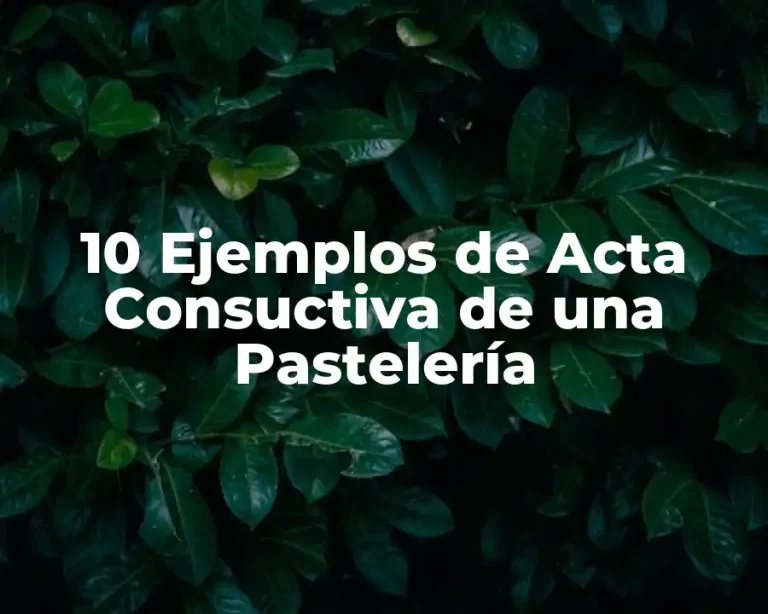 10 Ejemplos de Acta Consuctiva de una Pastelería