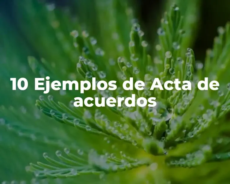 10 Ejemplos de Acta de acuerdos