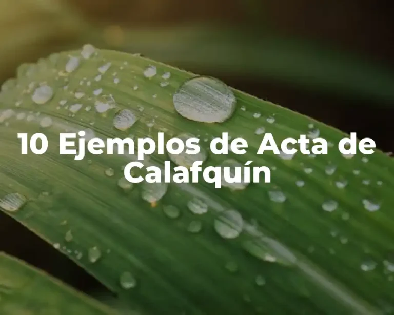 10 Ejemplos de Acta de Calafquín