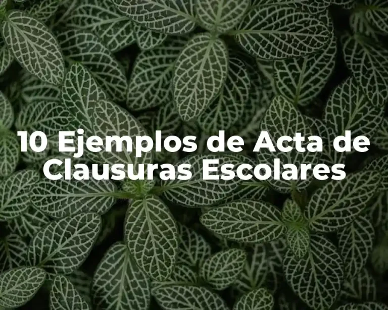 10 Ejemplos de Acta de Clausuras Escolares