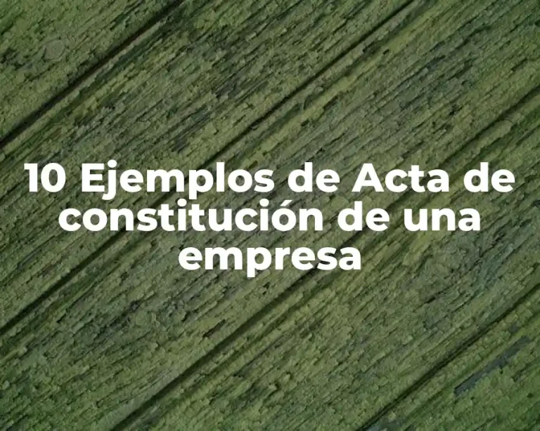 10 Ejemplos de Acta de constitución de una empresa