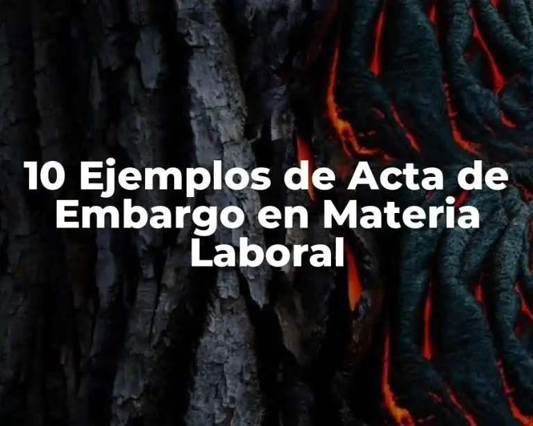10 Ejemplos de Acta de Embargo en Materia Laboral