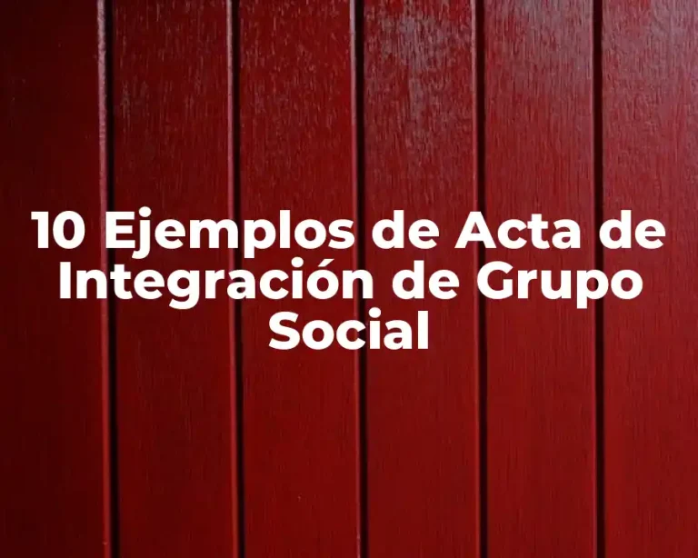 10 Ejemplos de Acta de Integración de Grupo Social