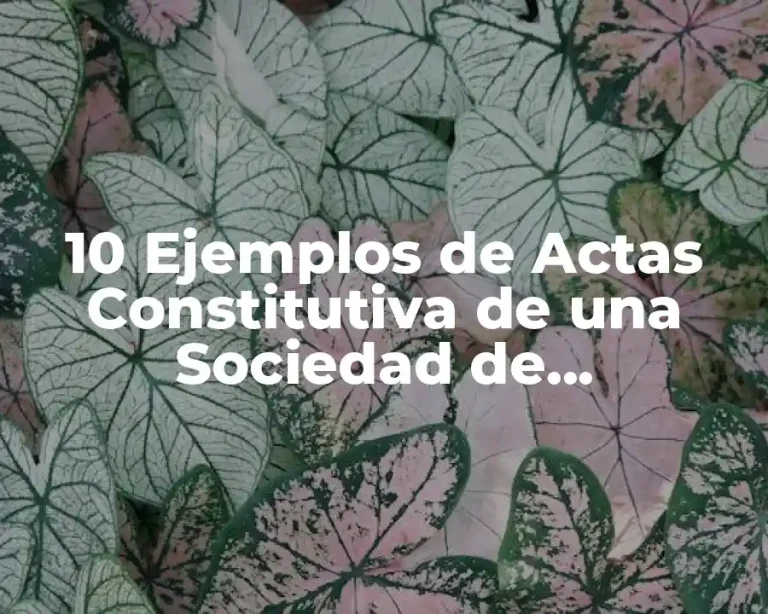 10 Ejemplos de Actas Constitutiva de una Sociedad de Responsabilidad Limitada