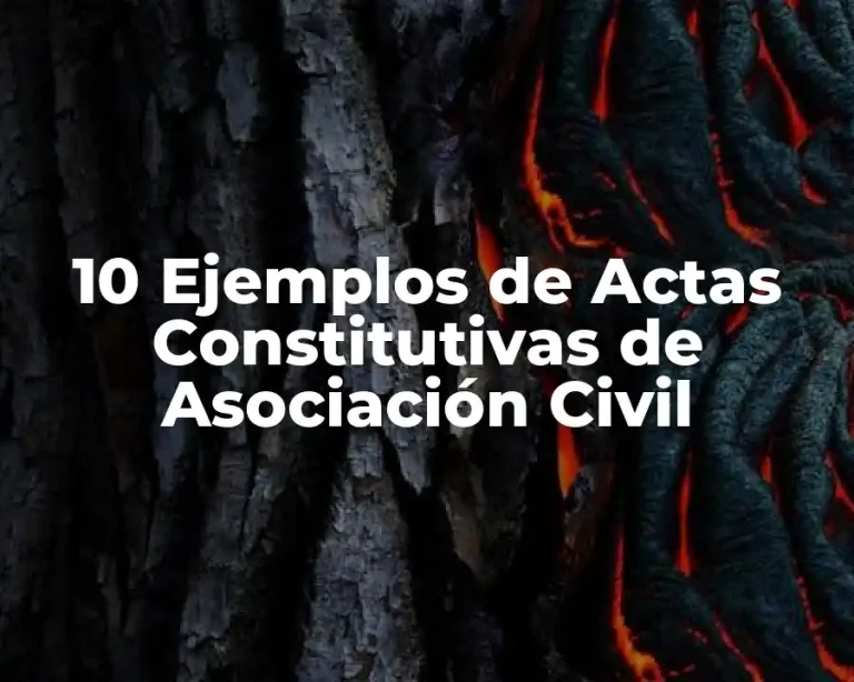10 Ejemplos de Actas Constitutivas de Asociación Civil