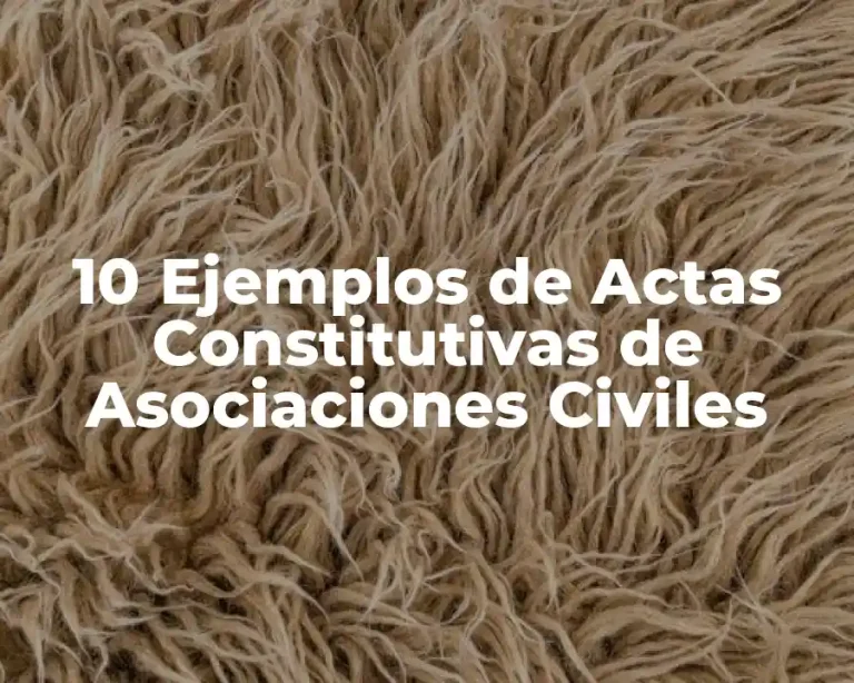 10 Ejemplos de Actas Constitutivas de Asociaciones Civiles