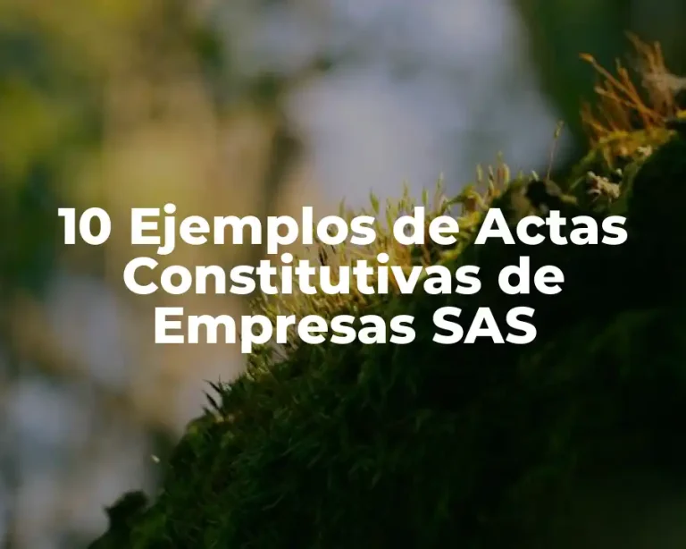10 Ejemplos de Actas Constitutivas de Empresas SAS