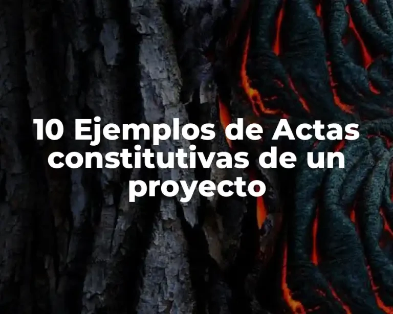 10 Ejemplos de Actas constitutivas de un proyecto