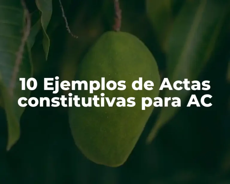 10 Ejemplos de Actas constitutivas para AC