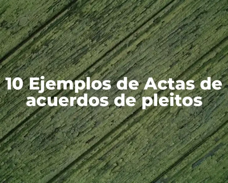 10 Ejemplos de Actas de acuerdos de pleitos