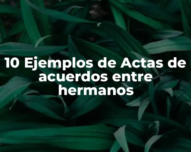 10 Ejemplos de Actas de acuerdos entre hermanos