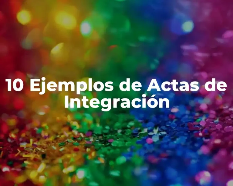 10 Ejemplos de Actas de Integración
