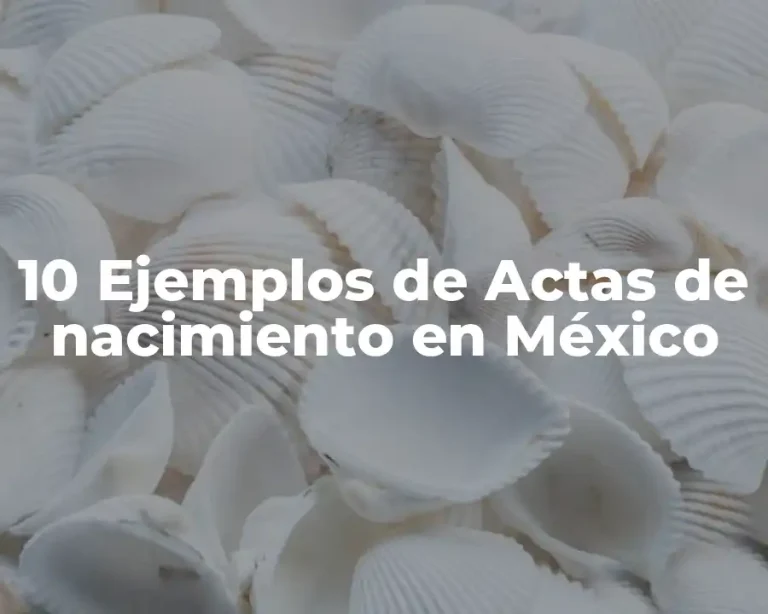 10 Ejemplos de Actas de nacimiento en México