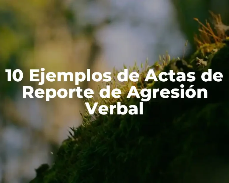 10 Ejemplos de Actas de Reporte de Agresión Verbal