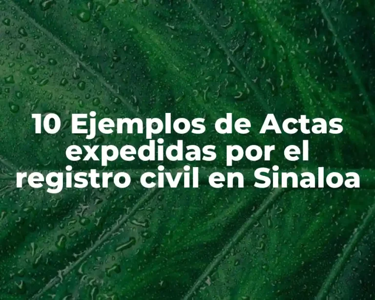 10 Ejemplos de Actas expedidas por el registro civil en Sinaloa