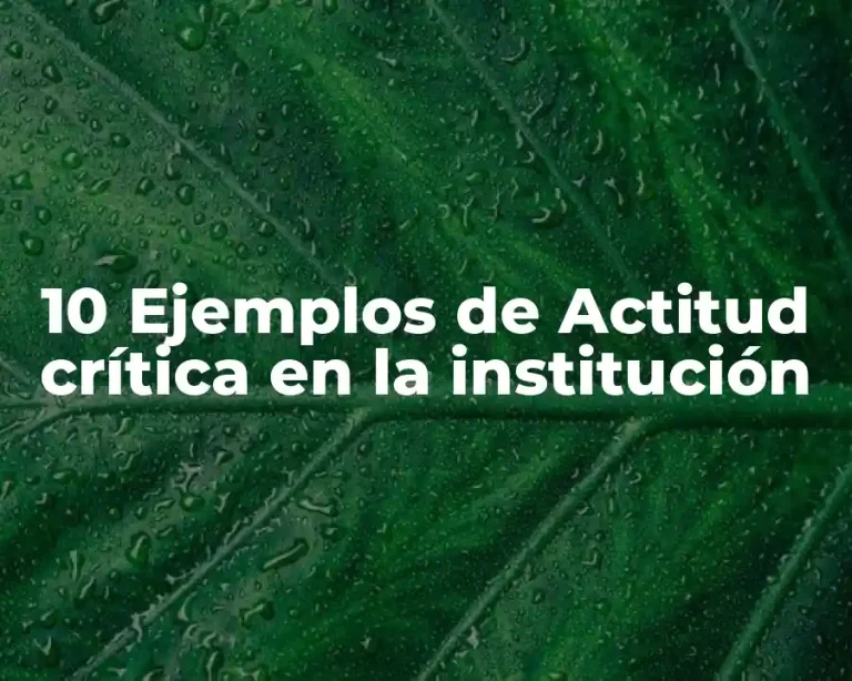 10 Ejemplos de Actitud crítica en la institución