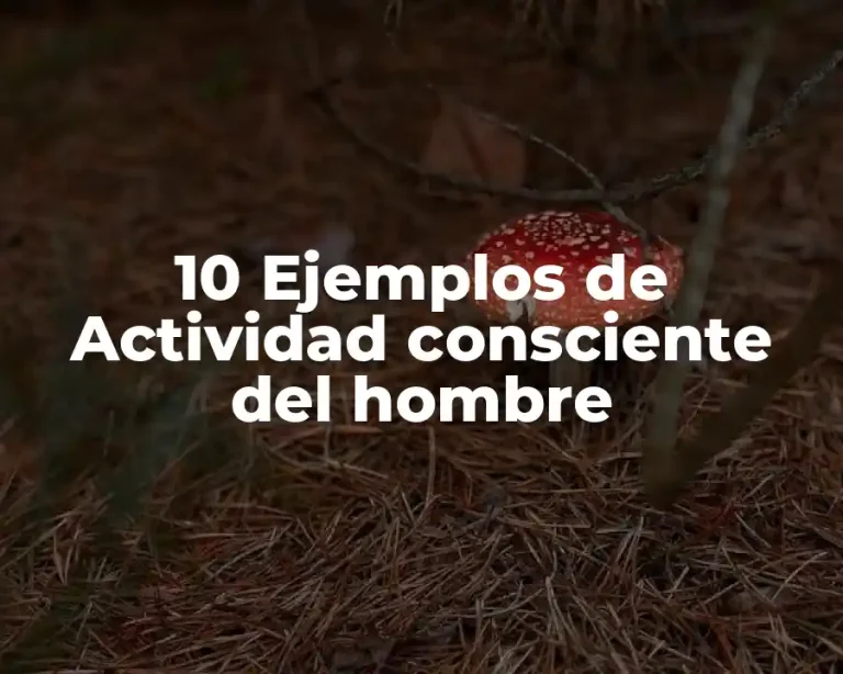 10 Ejemplos de Actividad consciente del hombre