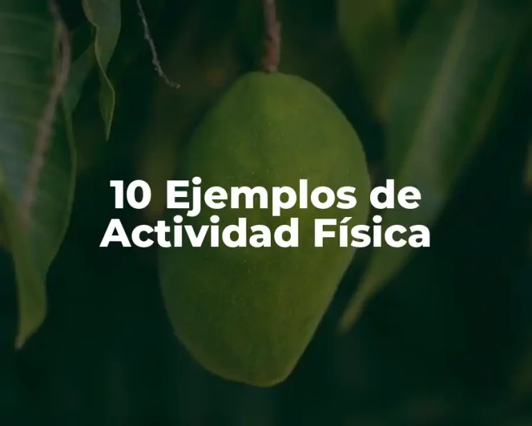 10 Ejemplos de Actividad Física
