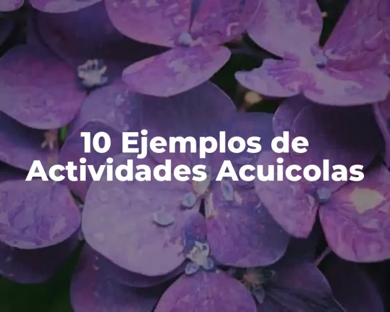 10 Ejemplos de Actividades Acuicolas