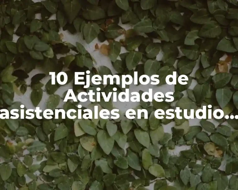 10 Ejemplos de Actividades asistenciales en estudio de electroencefalograma