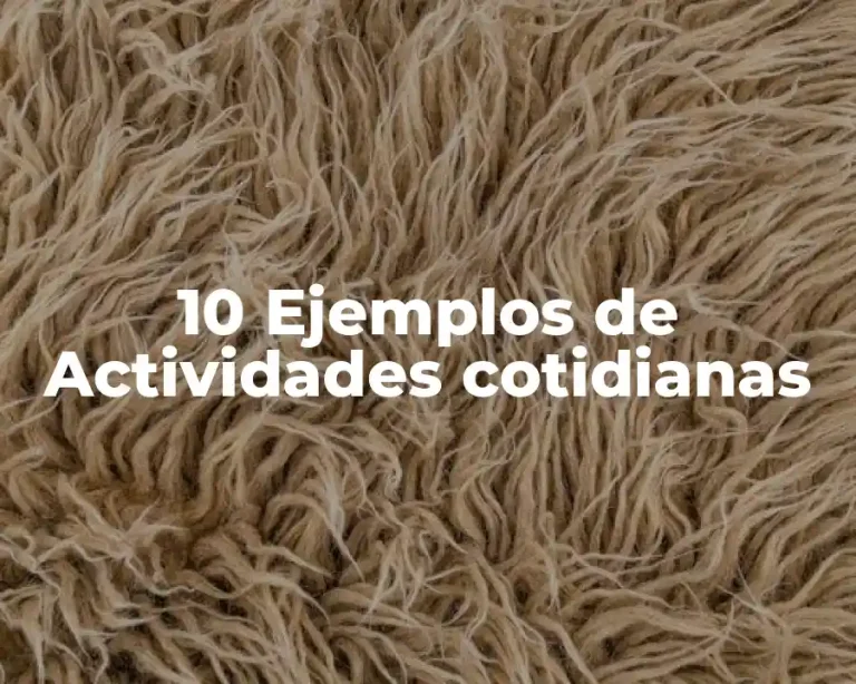 10 Ejemplos de Actividades cotidianas