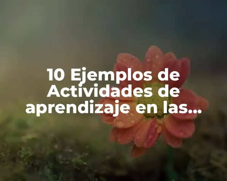 10 Ejemplos de Actividades de aprendizaje en las escuelas