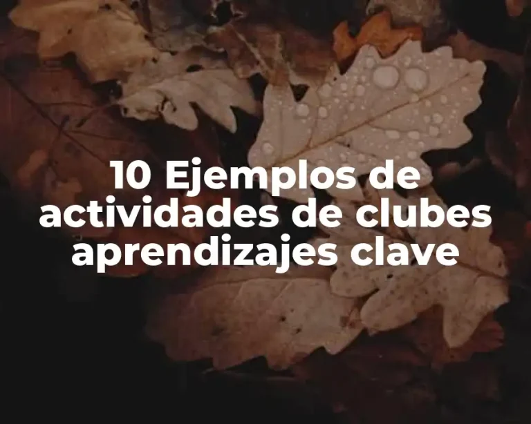 10 Ejemplos de actividades de clubes aprendizajes clave