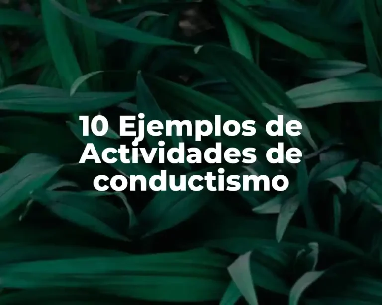10 Ejemplos de Actividades de conductismo