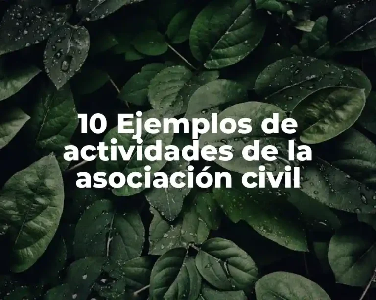 10 Ejemplos de actividades de la asociación civil